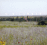 Plainsongs