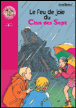 Le feu de joie du Clan des Sept