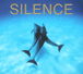 Silence Guitare