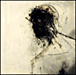 Passion - SACD hybride