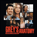 Grey's anatomy 1