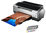 Epson Stylus Photo R1800