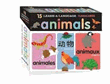 Animals-language flash cards
