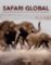 Safari global