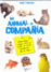 Mi animal de compa��a