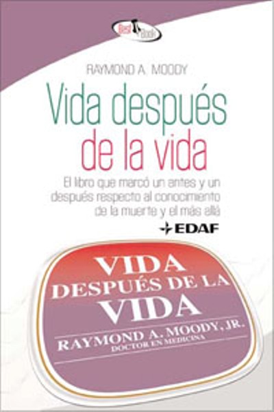 EL LIBRO VIDA DESPUES DE LA VIDA el libro vida despues de la vida: