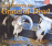 The Roots Of The Grateful Dead