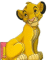 Simba. Mascotas de bolsillo