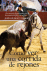 C�mo ver una corrida de rejones