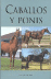 Caballos y ponis