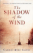 The shadow of the wind