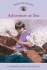 Treasure island. Adventure at the sea