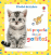 Mi peque�o libro de gatitos