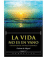 La vida no es en vano