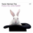Follow The White Rabbit