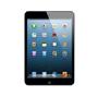 Apple iPad Mini noir 7,9" LED 16 Go WiFi
