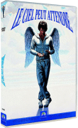 Le ciel peut attendre (DVD)
