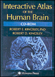 Interactive atlas of the human brain cd-rom für win xp/2000/