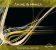 Perpetual motion