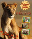 Les félins