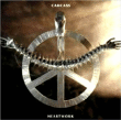 Carcass