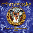 Whitesnake