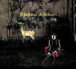 Wladimir Anselme