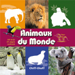 Ambiance Sonore