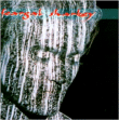Feargal Sharkey