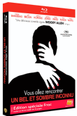 Vous allez rencontrer un bel et sombre inconnu vostfr dvdrip