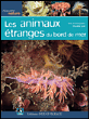 Animaux étranges du bord de mer&nbsp;-&nbsp;Collectif