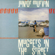 Junior Murvin&nbsp;-&nbsp;Muggers in the street