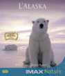 L'Alaska - Blu-Ray&nbsp;-&nbsp;Documentaire sur la faune