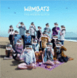 The Wombats&nbsp;-&nbsp;This modern glitch
