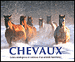 Chevaux&nbsp;-&nbsp;Collectif