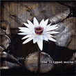 John Wesley&nbsp;-&nbsp;Lilypad suite EP