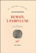 Demain à Pampelune&nbsp;-&nbsp;Jan Van Meersbergen