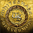Whitesnake&nbsp;-&nbsp;Forevermore - Inclus DVD bonus