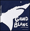 Grand blanc&nbsp;-&nbsp;Antoine Guilloppé