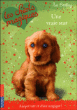 Les chiots magiques, T4&nbsp;-&nbsp;Sue Bentley