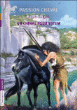 Un cheval pour totem&nbsp;-&nbsp;Alain Surget