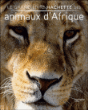 Animaux d'Afrique&nbsp;-&nbsp;Stéphane Meunier