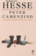 Peter camenzind&nbsp;-&nbsp;Hermann Hesse