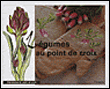 Les légumes au point de croix&nbsp;-&nbsp;Inna Millet