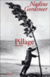 Pillage&nbsp;-&nbsp;Nadine Gordimer