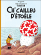 Tintin, Edition en picard&nbsp;-&nbsp;Hergé