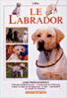 Le Labrador&nbsp;-&nbsp;Valeria Rossi