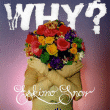 Why?&nbsp;-&nbsp;Eskimo snow