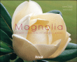 Magnolia&nbsp;-&nbsp;Corinne Langlois
