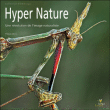 Hyper nature : une révolution de l'image naturaliste&nbsp;-&nbsp;P. Martin